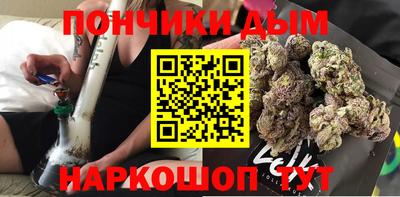 гидропоника Бийск