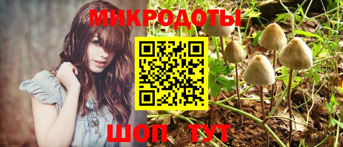 Кировск  Галлюциногенные грибы MAGIC MUSHROOMS  Вход с VPN 